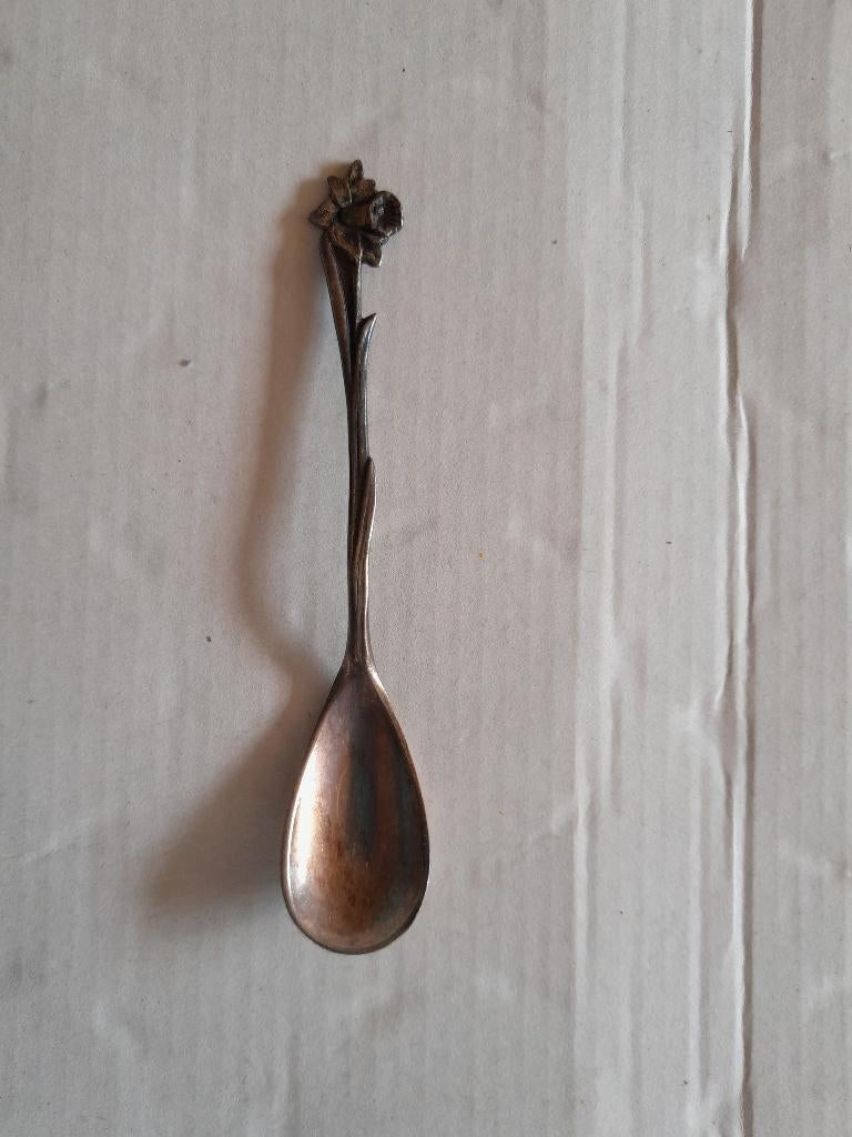 lepeltje met narcis, Ophalen of Verzenden, Gebruikt, Rvs of Chroom