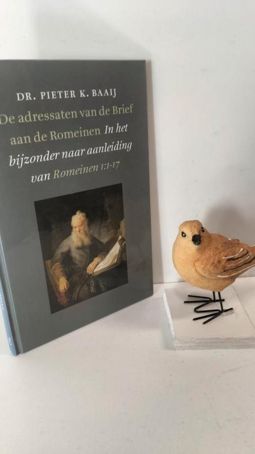 Baaij, Dr. Pieter K.; De adressaten van de Brief aan de Rome, Boeken, Godsdienst en Theologie, Gelezen, Christendom | Protestants