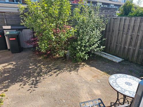 Tuinonderhoud tuinman gezocht in Nieuw Uitgeest  €15 per uur, Diensten en Vakmensen, Tuinmannen en Stratenmakers