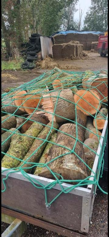 Gezocht: boomwal of bomen om uit te dunnen – ruil voor hout