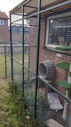 Kattenrek/kippenren, Dieren en Toebehoren, Ophalen, Gebruikt