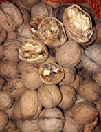Verse Walnoten - €3 per kilo, Ophalen of Verzenden
