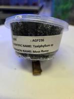 mos, Overige typen, Zoetwatervis