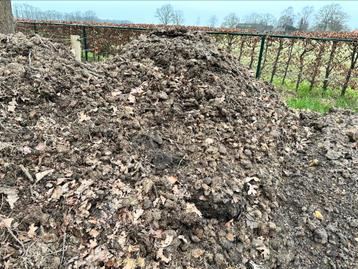 gratis af te halen: gecomposteerde paardenmest / compost beschikbaar voor biedingen