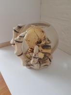 Helloween Schedel waterbal, Ophalen of Verzenden