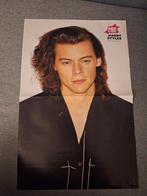 Poster Harry Styles, Verzenden, Zo goed als nieuw, A1 t/m A3, Film en Tv