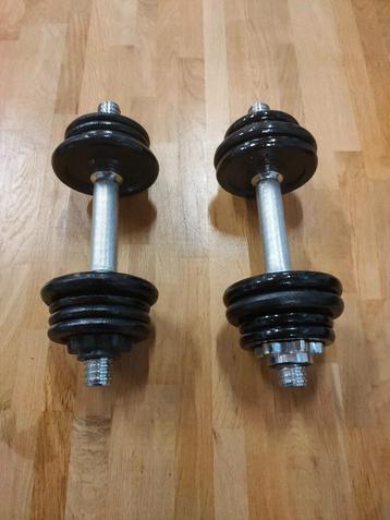 dumbbells, set Dumbbells beschikbaar voor biedingen