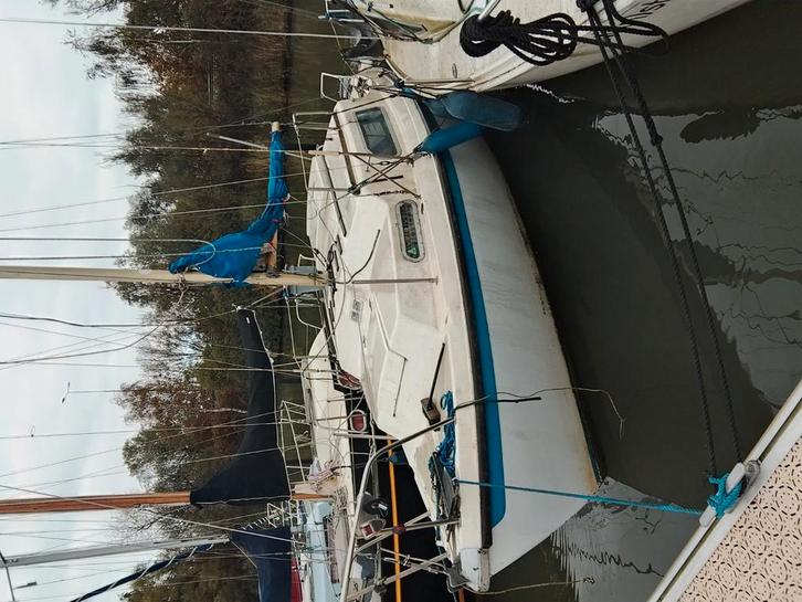 Zeilboot zeiljacht in Amsterdam te ruil of tekoop tab, Watersport en Boten, Zeilen en Zeiltoebehoren, Zo goed als nieuw, Minder dan 15 m²