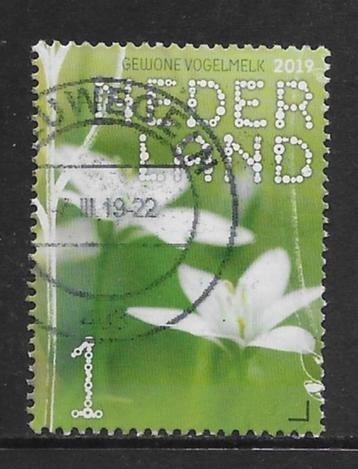 2019, Stinsenplanten, Vogelmelk [3733] (K1706) beschikbaar voor biedingen
