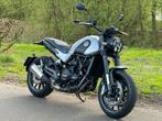 Benelli Leoncino 500 cc motor  (35 kW / ook voor A2 rbw), Naked bike, Particulier, 2 cilinders, 500 cc