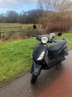 Sym fiddle 2 50s 2019 snor scooter, Fietsen en Brommers, Scooters | SYM, Ophalen, Zo goed als nieuw, Benzine, Fiddle