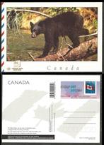 CANADA 1997 Black Bear Postcard, MINT., Verzenden, Postfris, Dier of Natuur
