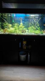 Aquarium, Verzenden, Gebruikt, Gevuld zoetwateraquarium