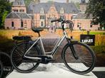 Van Dijck Phaedra Dames Grijs 56cm 2022, 55 tot 59 cm, Nieuw, Overige merken
