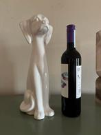 Jef Roberts - gestileerde hond - Maastricht - Vintage, Ophalen