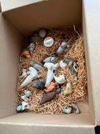 Zeehonden verzameling voor de liefhebber, Ophalen of Verzenden, Gebruikt, Overige soorten, Overige typen