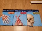Prometheus Anatomische Atlas - Complete Set, Boeken, Zo goed als nieuw, Beta, Schünke, Voll, Schumacher, HBO
