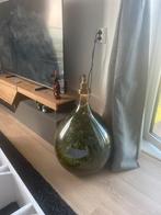 Terrarium met licht, Ophalen, Zo goed als nieuw, Glas, 50 tot 75 cm