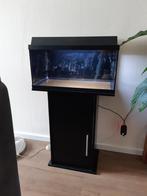 Juwel aquarium 60x30x30cm, Dieren en Toebehoren, Vissen | Aquaria en Toebehoren, Ophalen, Gebruikt, Leeg aquarium