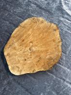 Boomstam schijf 54 cm, Ophalen of Verzenden, Nieuw