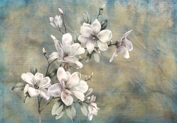 Witte Magnolia fotobehang, Bloem, ook op maat, Muurdeco4kids beschikbaar voor biedingen