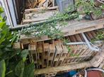 Pallets brandhout, Tuin en Terras, Haardhout, Minder dan 3 m³, Ophalen, Overige houtsoorten, Blokken