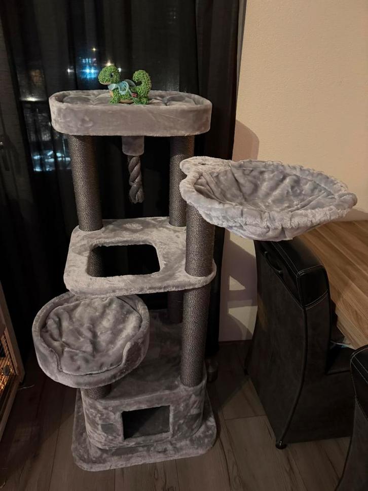 GEZOCHT: kater grijze tijger kitten. Gouden mandje gereed!, Dieren en Toebehoren, Katten en Kittens | Overige Katten, Kater