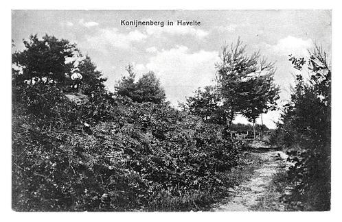 953360	Havelte	Drenthe	Konijnenberg	Nette oude kaart Onbesch, Verzamelen, Ansichtkaarten | Nederland, Ongelopen, Drenthe, Ophalen of Verzenden