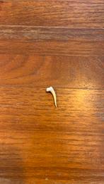 Haaien tand gelukstand, Verzamelen, Mineralen en Fossielen, Ophalen of Verzenden, Fossiel