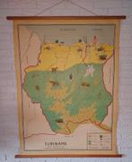 Oude schoolkaart Suriname, Antiek en Kunst, Antiek | Schoolplaten, Ophalen, Aardrijkskunde