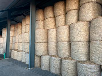 Tarwe stro in midibalen. 85x90 beschikbaar voor biedingen