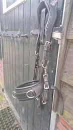 Multihoofdstel Anatomisch kaptoom grote shet, Dieren en Toebehoren, Ophalen, Gebruikt, Overige soorten