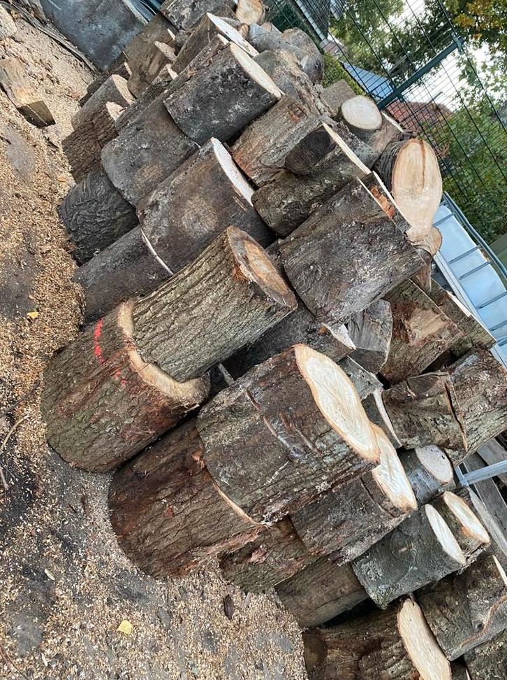 Haardhout stammen-blokken-geklooft, Tuin en Terras, Haardhout, Minder dan 3 m³, Ophalen of Verzenden
