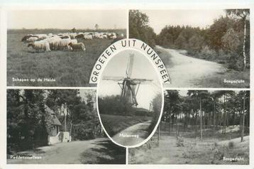 (387-137-005) Nunspeet Groeten uit beschikbaar voor biedingen