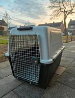 Te koop: Solognac (Decathlon) transportkennel / transportbox, Ophalen, Hondenkennel, 65 tot 100 cm, Zo goed als nieuw