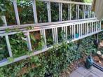 3x12 ladder van Alumexx, Doe-het-zelf en Verbouw, Ladders en Trappen, Ophalen, Nieuw, 2 tot 4 meter