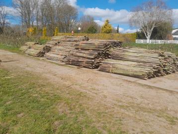 Grote partij houten palen boomkwekerij beschikbaar voor biedingen