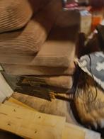 Ribstof lounge kussens, Huis en Inrichting, Woonaccessoires | Kussens, Ophalen of Verzenden, Zo goed als nieuw, Bruin, Rechthoekig