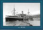 s.s.  REAEL  (K.P.M.), Verzamelen, Scheepvaart, Ophalen of Verzenden, Nieuw, Motorboot, Kaart, Foto of Prent