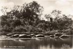 Zuid- Afrika  Kruger Park, Verzamelen, Ansichtkaarten | Buitenland, 1940 tot 1960, Gelopen, Ophalen of Verzenden, Buiten Europa