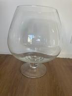 Cognac glas xxl, vissenkom, Ophalen, Overige kleuren, Minder dan 50 cm, Glas