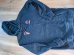 Sweater maat L, Ophalen of Verzenden, Zo goed als nieuw, Blauw