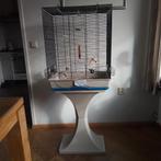 Vogel kooi, Dieren en Toebehoren, Meerdere dieren, Zangkanarie