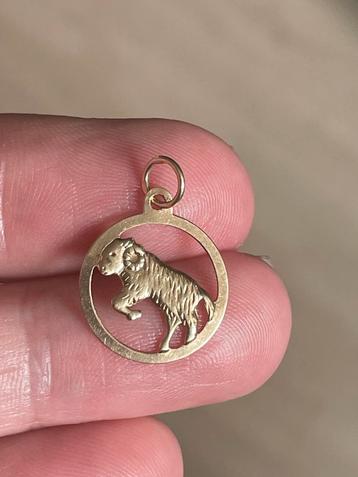 14 karaat geelgouden sterrenbeeldhanger steenbok beschikbaar voor biedingen