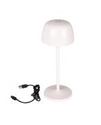 Oplaadbare tafellamp dimbaar sfeervolle tuinverlichting 28cm, Zonne-energie, Gebruikt, Staande lamp, Aluminium