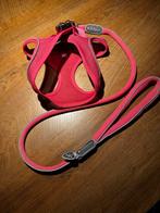 Honden tuigen Coralpina Roze + honden lijn, Dieren en Toebehoren, Ophalen of Verzenden, Zo goed als nieuw, Hondenriem-accessoire