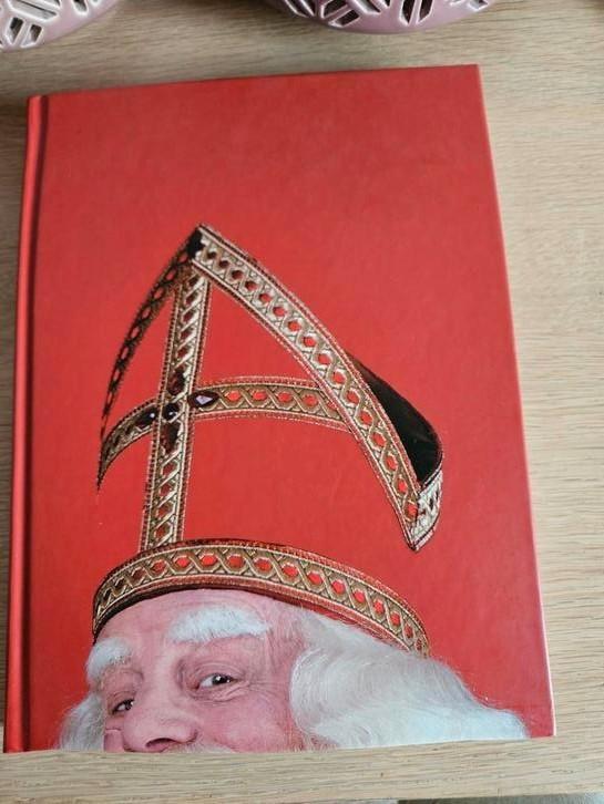 Boek Sinterklaas bestaat! - Bram van der Vlugt ZGAN, Boeken, Overige Boeken, Zo goed als nieuw, Ophalen
