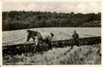 Boerenleven bij De Lochemse Berg, Ophalen of Verzenden, Voor 1920, Ongelopen, Gelderland
