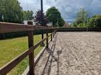 houten omheining paardenbak paddock machinaal houten hek, Weidegang, 4 paarden of pony's of meer