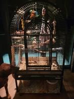 Vogelkooi, Dieren en Toebehoren, Vogels | Hokken en Kooien, Ophalen